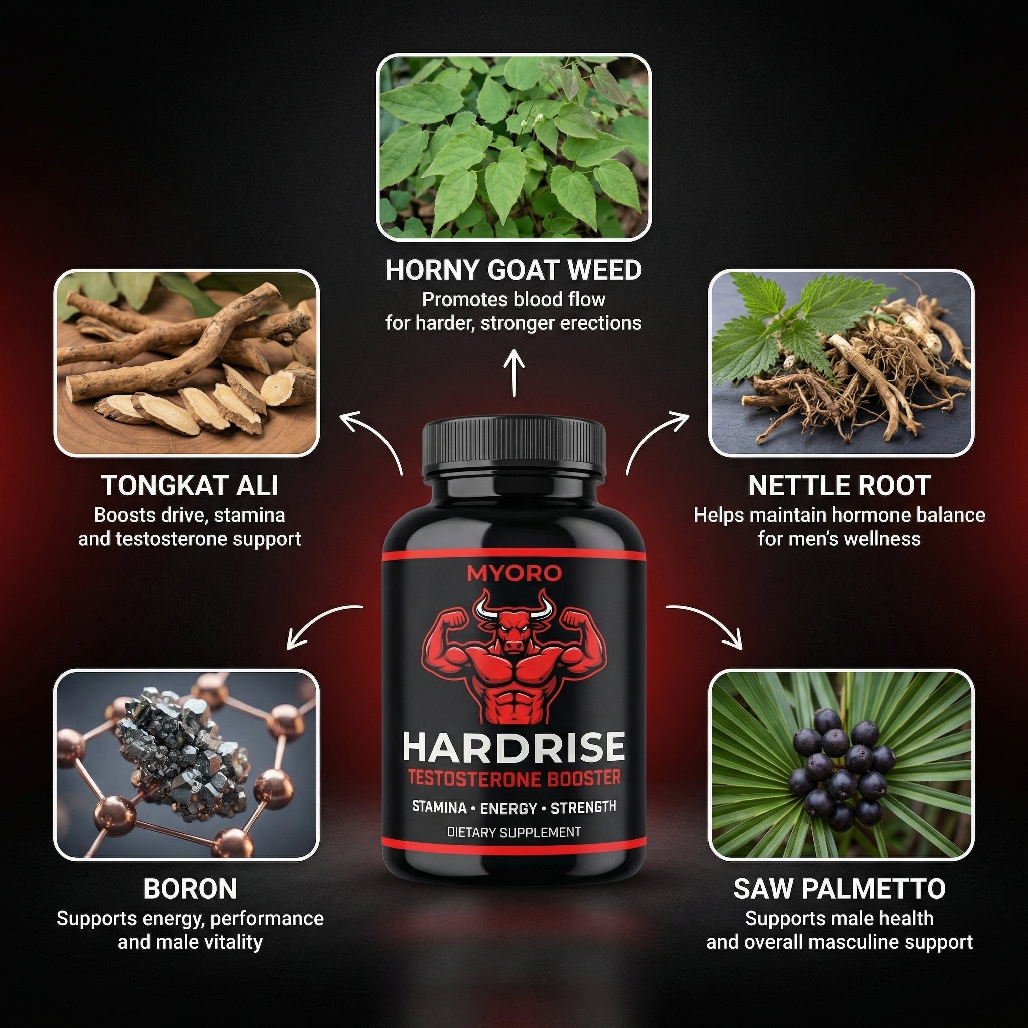 HardRise™